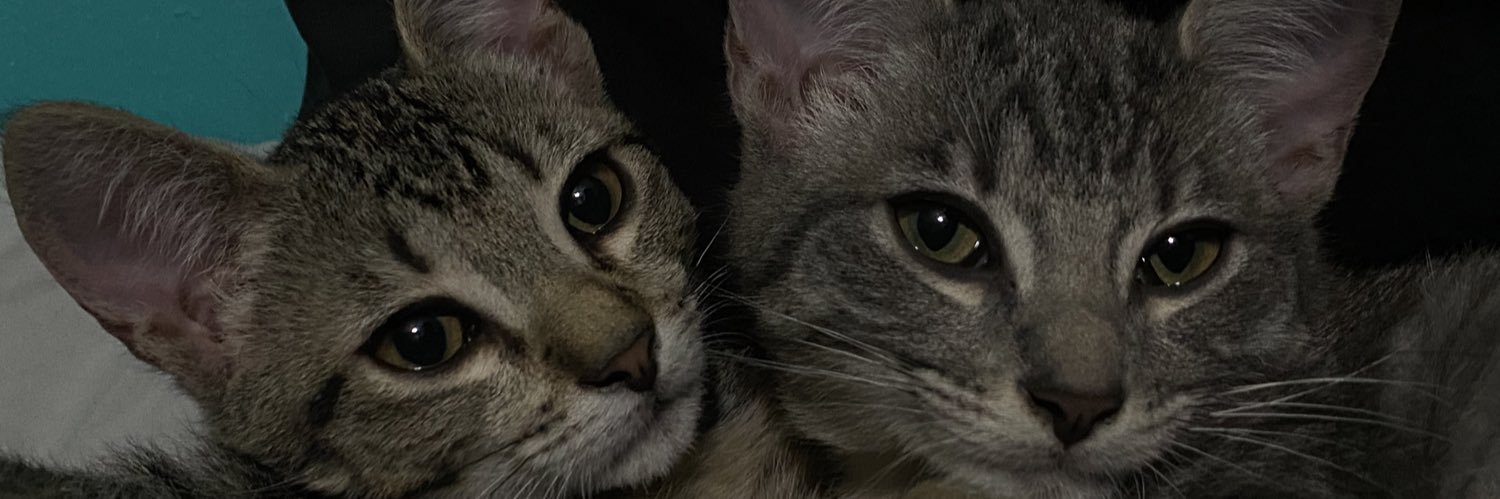 madisonroth_'s profile banner image