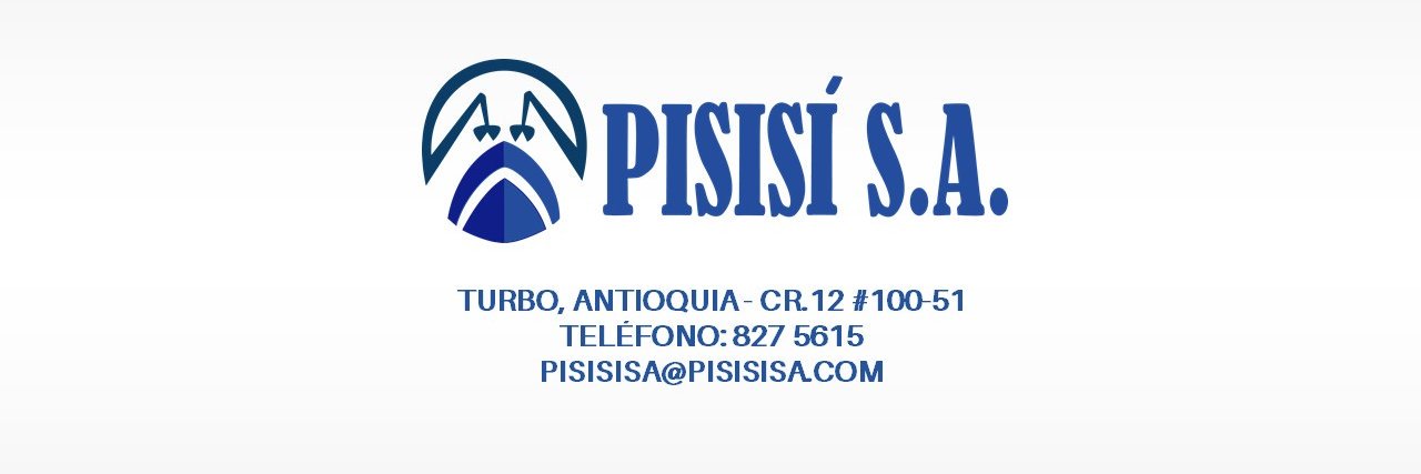 pisisisa's profile banner image