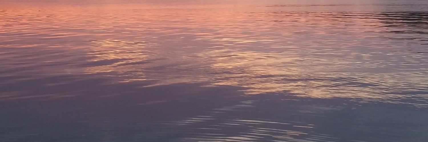 WLWW2k15's profile banner image