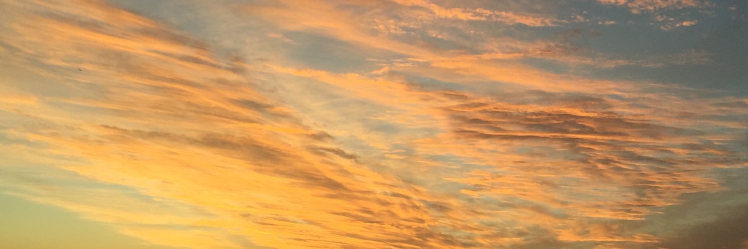 eliot_tom2's profile banner image