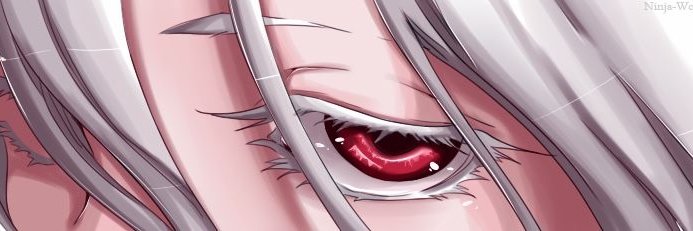 The sigma who rizzed the world banner