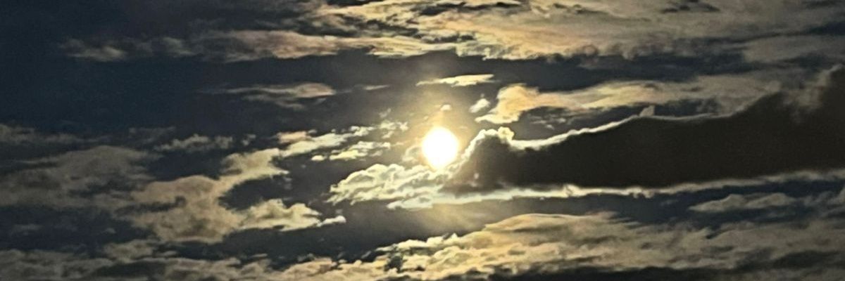 belc_fer's profile banner image