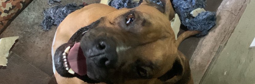 FabriGenito's profile banner image