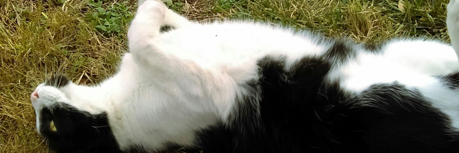 DemonicBlade12's profile banner image