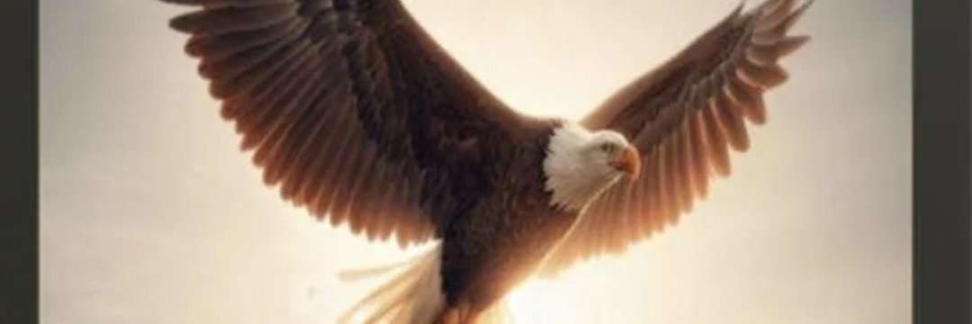 KLWilson1965's profile banner image