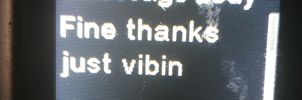 Rachel Bryan 🇪🇺 💙 🥦 banner