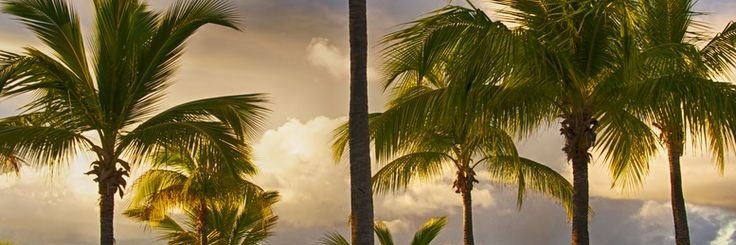 5month_summer's profile banner image