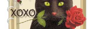 BergenBaby's profile banner image