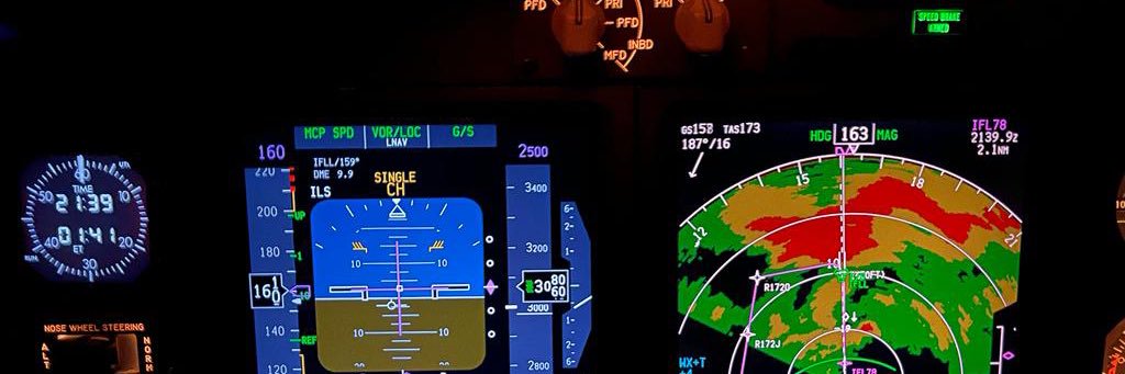 Anna Schermerh banner