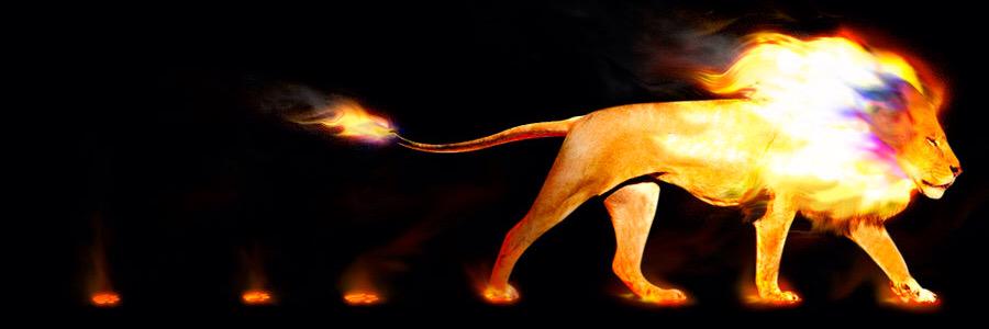 IHaggy's profile banner image