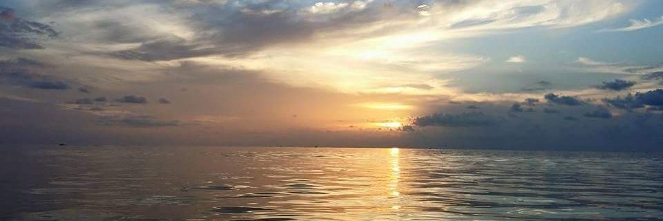 Crystalbd11's profile banner image