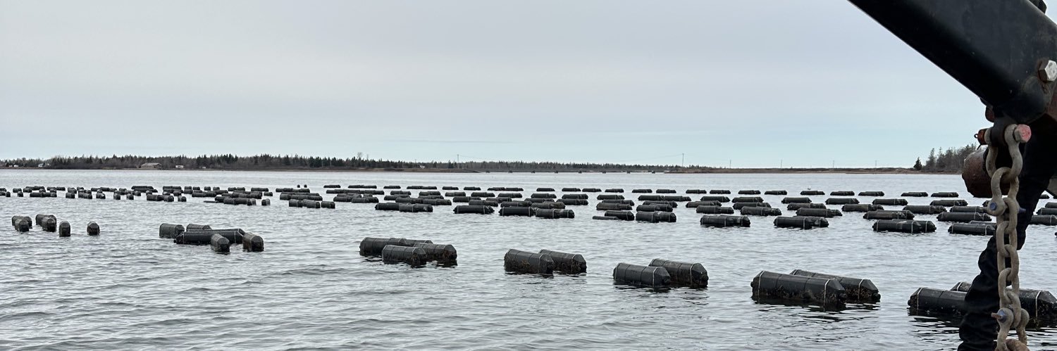 Lennox Island FN banner