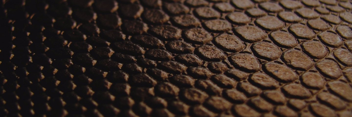 Leather from LMC banner