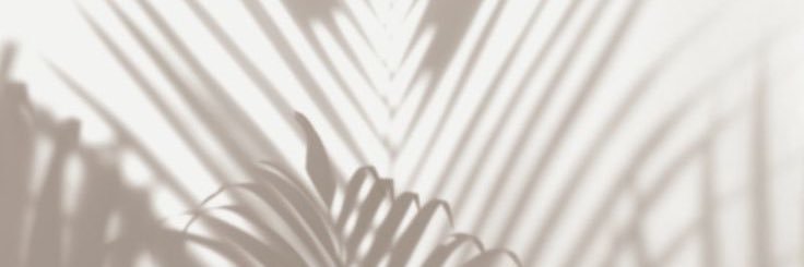 lededutra's profile banner image