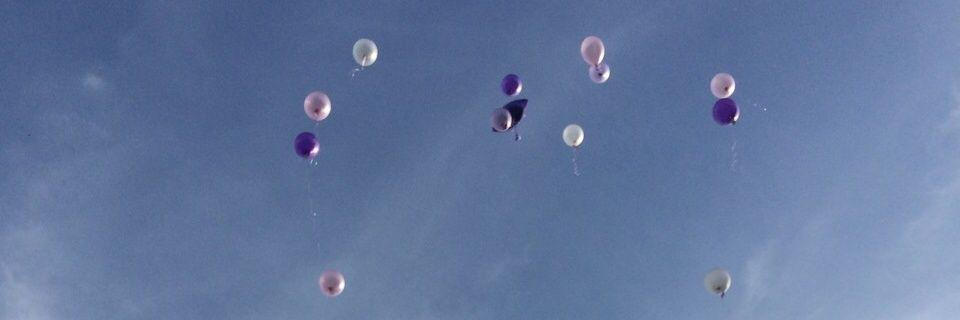 evaflorence13's profile banner image
