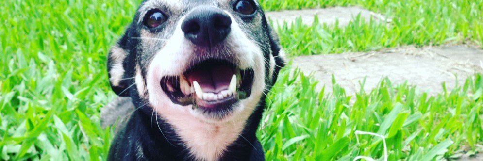 deboradn_'s profile banner image