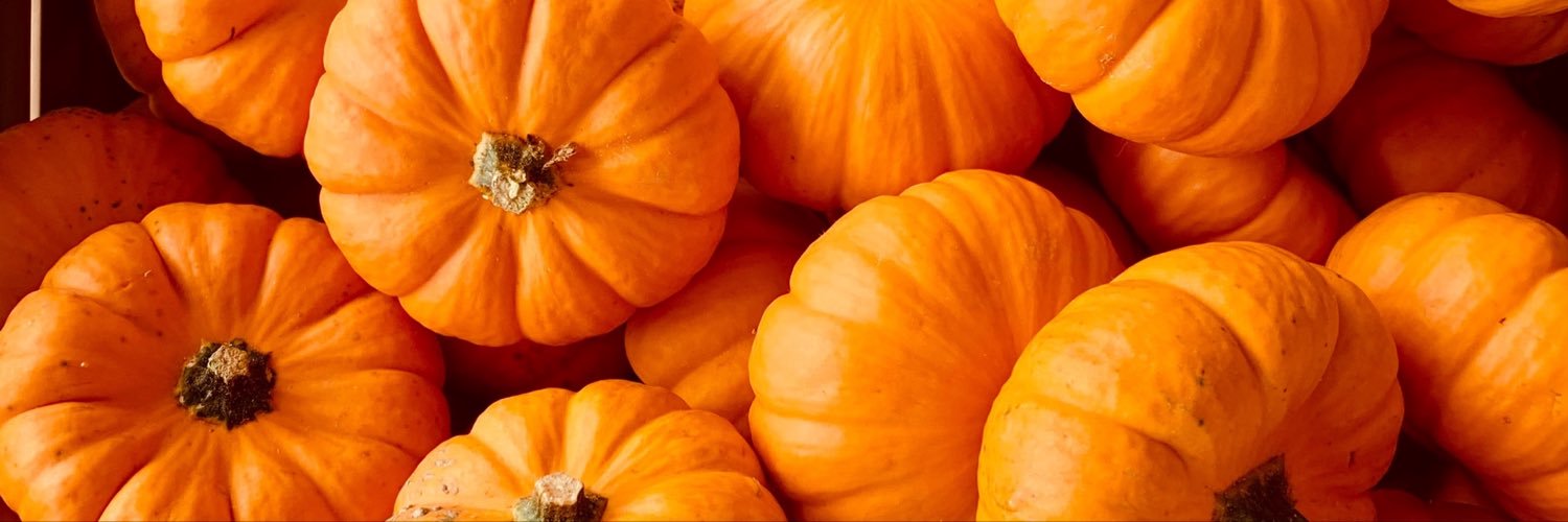 MegVonSpooks's profile banner image