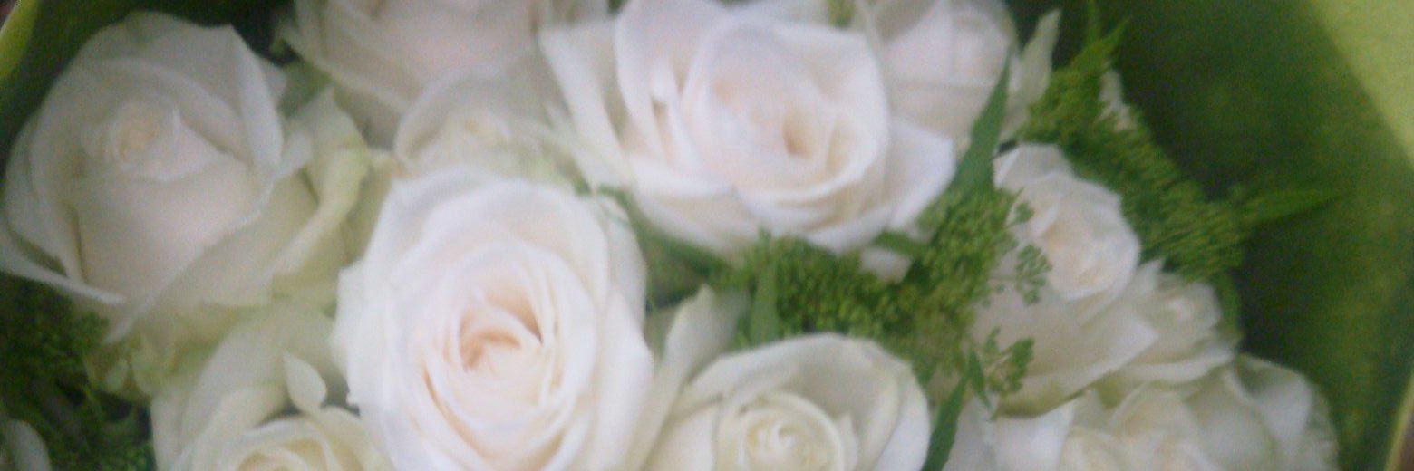 のじ's banner