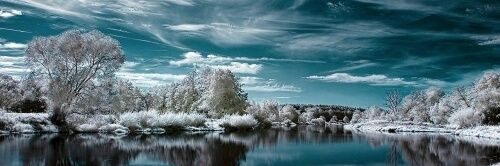 sarya79056's profile banner image