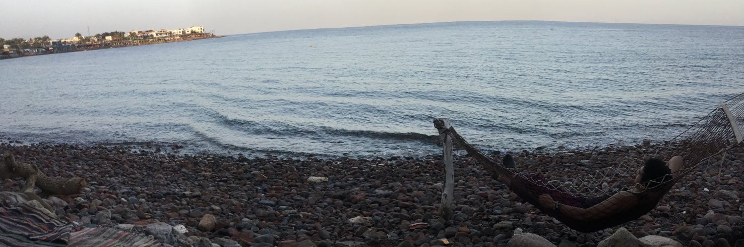 LNeweehy's profile banner image