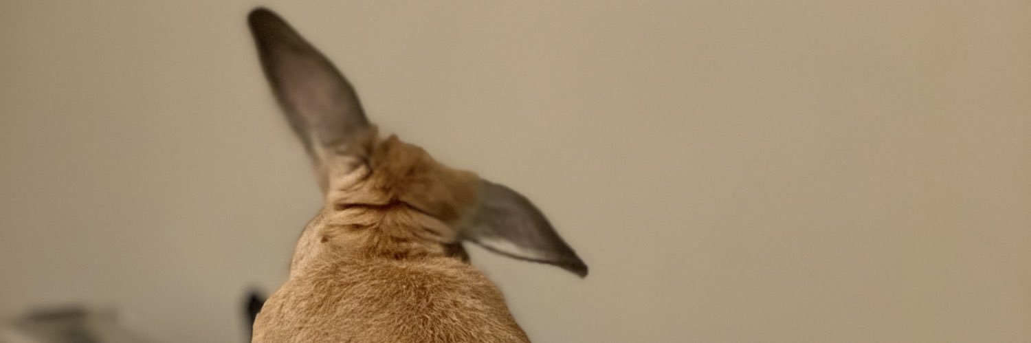 its_amnesia's profile banner image