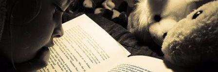 Libropatia Blog banner