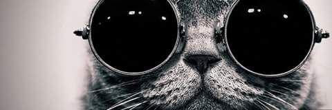 Mimkp_'s profile banner image