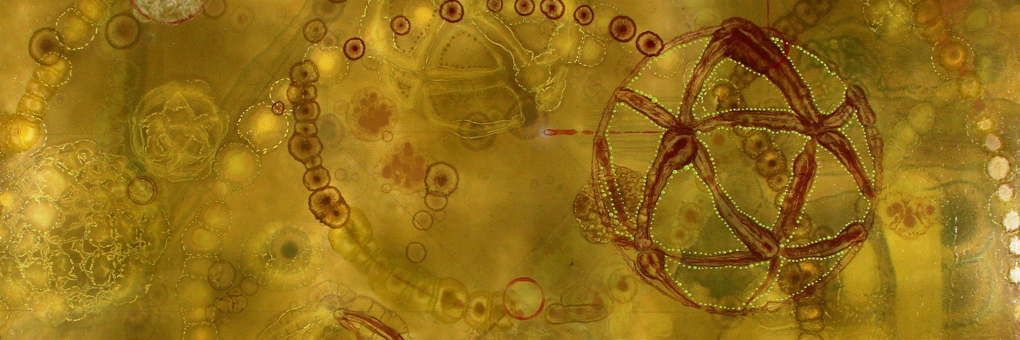 MiahRiad's profile banner image