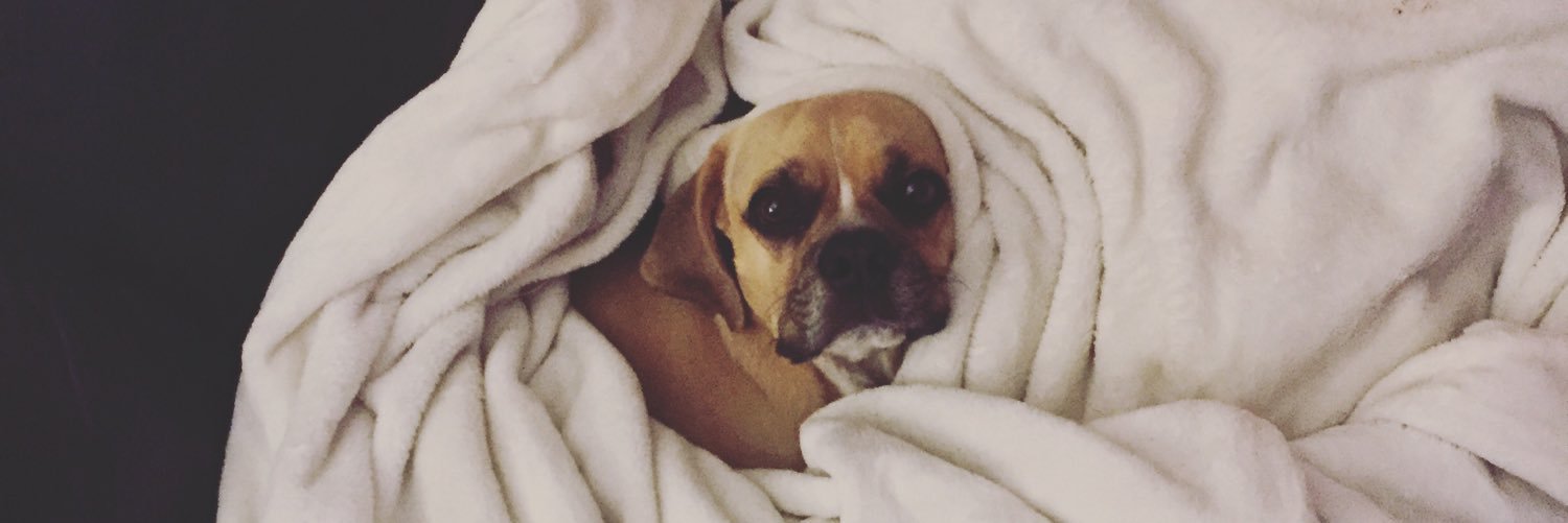 SweeetMariee's profile banner image