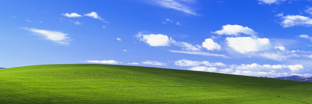 DigiDuncan's profile banner image
