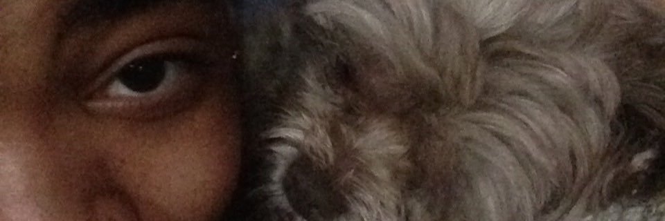 AMER1KKKA's profile banner image
