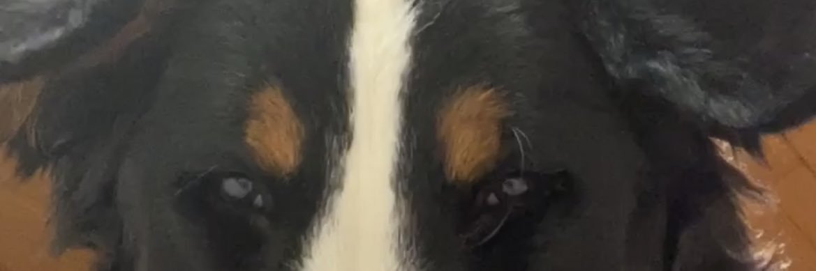 brncmnh's profile banner image