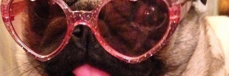 PeppermintLori's profile banner image