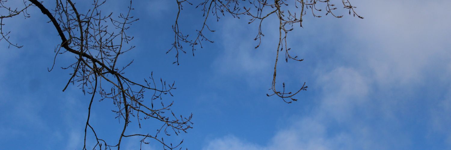 iAlinaMichelle's profile banner image
