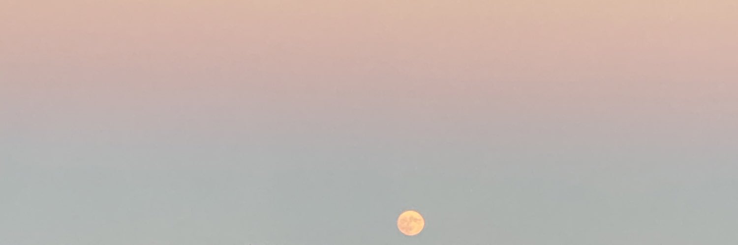 AshleyFelix23's profile banner image