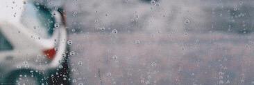 Annacpp_'s profile banner image