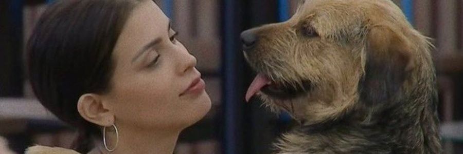 Óscar (Shiijin). Capellista banner