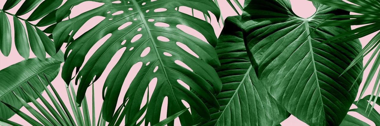brifunte's profile banner image