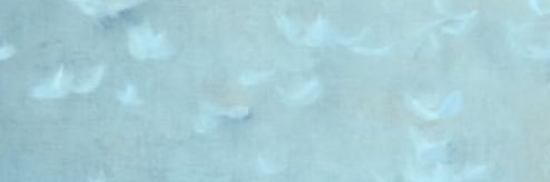 ロザリーナ banner