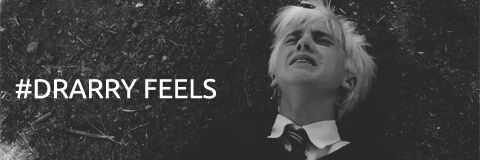 LovingDrarry's profile banner image