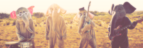 robbie_rickard's profile banner image
