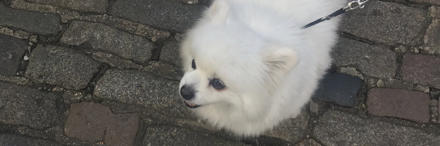 poppypkk's profile banner image
