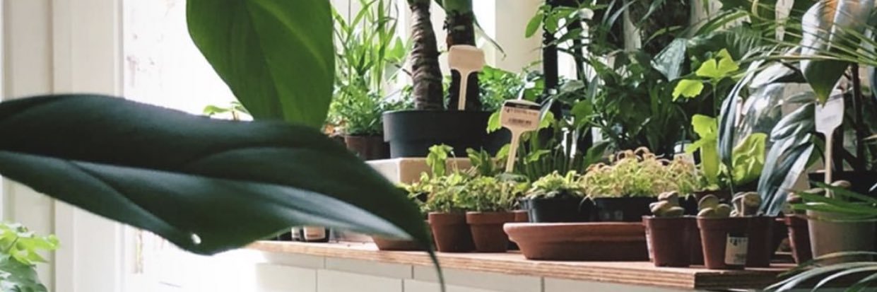 Vix_wllms's profile banner image