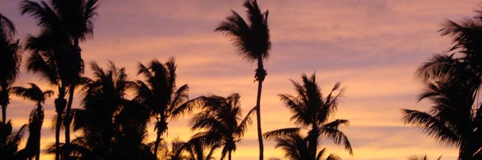 TiffanyBaxter's profile banner image