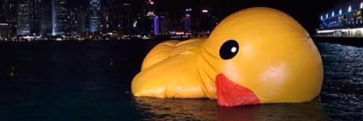 dcljinah's profile banner image