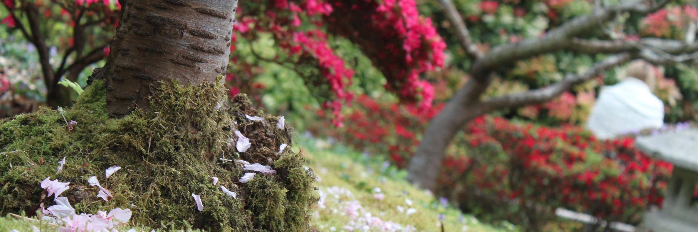 UrFriendKatie's profile banner image