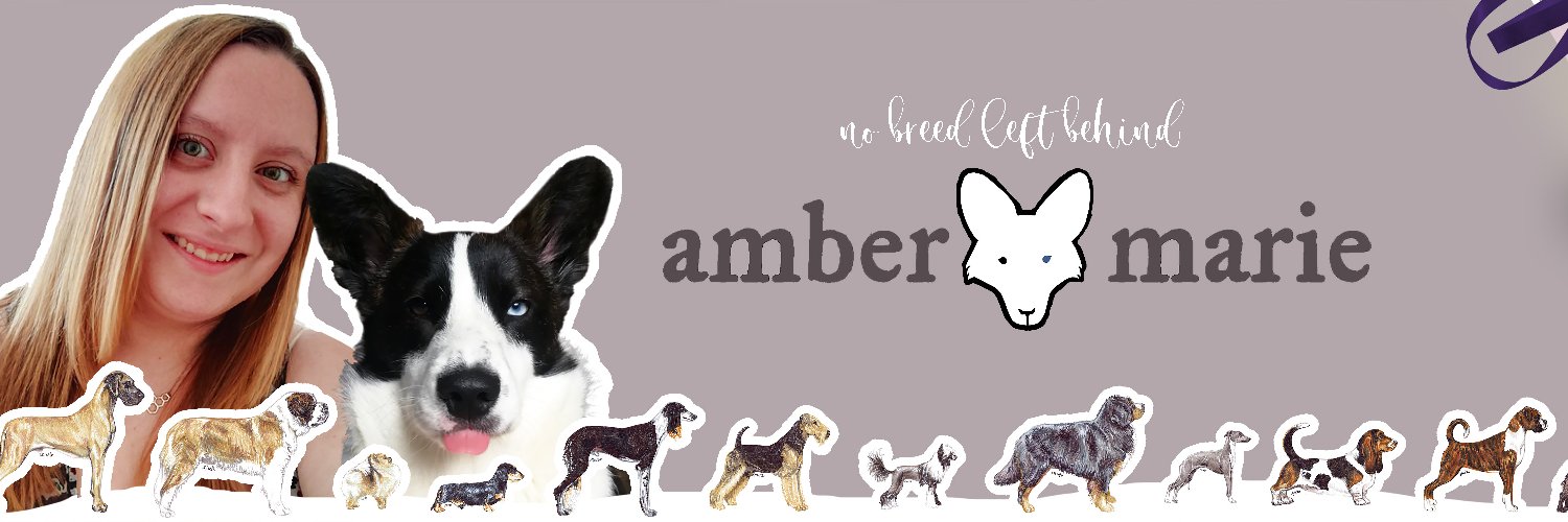 ambermariedogs's profile banner image