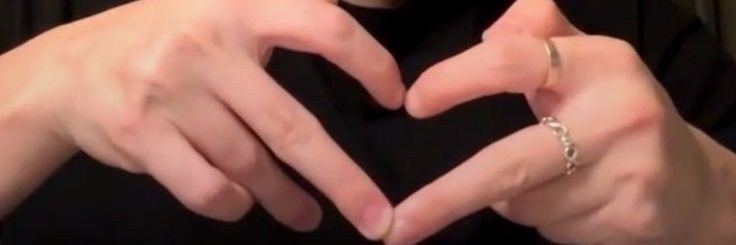 lovampyr's profile banner image