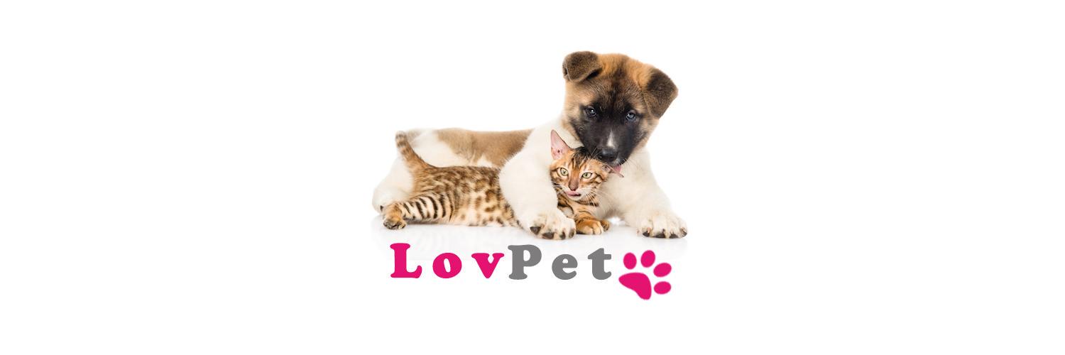 LovpetCom's profile banner image