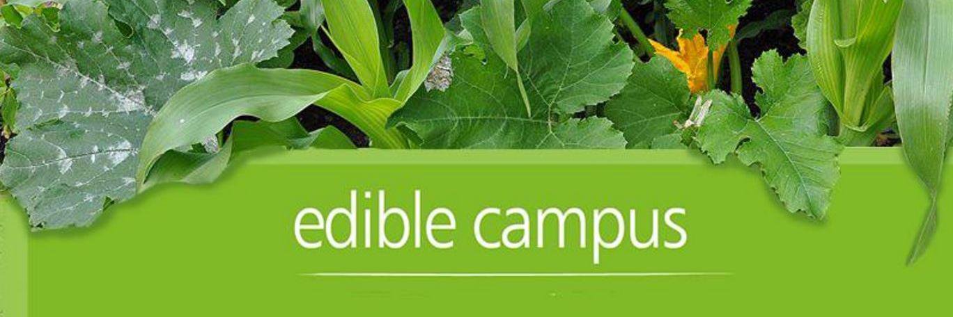 ediblecampus's profile banner image